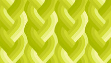 Load image into Gallery viewer, Echo | Braid Acid Green