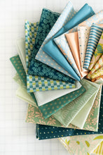 Load image into Gallery viewer, Evolve | Bundles