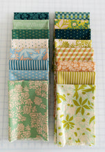 Load image into Gallery viewer, Evolve | Bundles