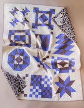 Load image into Gallery viewer, 2024 Suzy Sampler Kit | Hydrangea Shadow