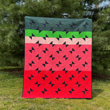 Load image into Gallery viewer, Picnic Punch Quilt Bundle | Trace Creek Quilting | Watermelon Edition