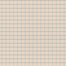 Load image into Gallery viewer, Plaid pattern with light blue and beige colors on a fabric background