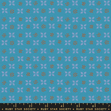 Load image into Gallery viewer, Sugar Maple | RS 4092 17 Vintage Blue