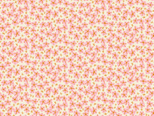 Load image into Gallery viewer, Bird is the Word | RS3082 11 | Natural