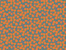 Load image into Gallery viewer, Bird is the Word | RS3082 14 | Storytime