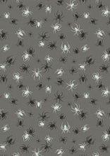Load image into Gallery viewer, Haunted House | Spiders on grey