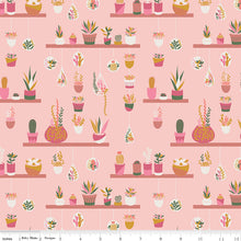 Load image into Gallery viewer, Arid Oasis | Hanging Garden | Pink