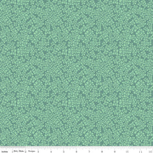 Load image into Gallery viewer, Arid Oasis | Lush Sage