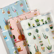 Load image into Gallery viewer, Arid Oasis | Hanging Garden | Pink