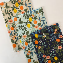 Load image into Gallery viewer, Bramble | Citrus Grove | Cream