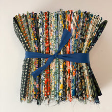 Load image into Gallery viewer, Bramble | Messina Stripe | Red Multi