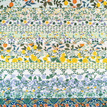 Load image into Gallery viewer, Bramble | Messina Stripe | Blue Multi