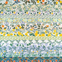 Load image into Gallery viewer, Bramble | Daisy Fields | Cream Metallic