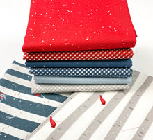 Load image into Gallery viewer, Winterland - Main Gray - by Amanda Caster