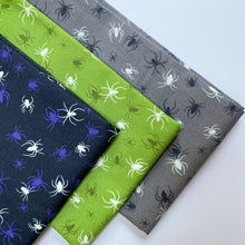 Load image into Gallery viewer, Haunted House | Spiders on grey