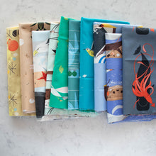 Load image into Gallery viewer, Charley Harper Coastal | Perilous Passage