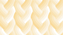 Load image into Gallery viewer, Echo | Braid Ivory
