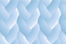 Load image into Gallery viewer, Echo | Braid Light Blue
