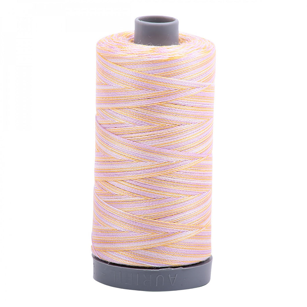 Aurifil | Mako Cotton Embroidery Thread Solid 28 wt | Variegated 4651