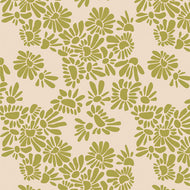 Evolve | Meadow | Key Lime