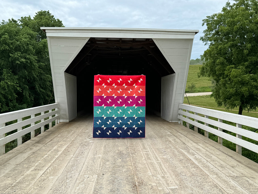 Picnic Punch Quilt Bundle | Cover Quilt