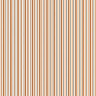 Juniper | Timeless Ticking Ginger