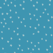 Load image into Gallery viewer, Starry | Vintage Blue
