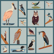 The Birdwatchers Project | Block of the Month Kit featuring Signature Solids