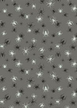 Load image into Gallery viewer, Haunted House | Spiders on grey
