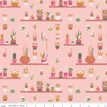 Load image into Gallery viewer, Arid Oasis | Hanging Garden | Pink
