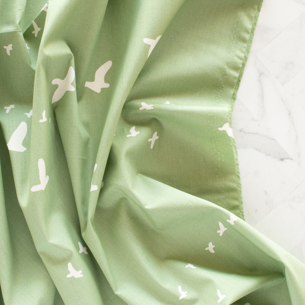 Birch Basics Reboot - Organic Poplin | Flight Aspen