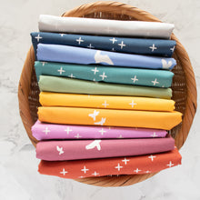 Load image into Gallery viewer, Birch Basics Reboot - Organic Poplin | Flight Cornflower
