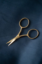 Load image into Gallery viewer, Fine Work Scissors
