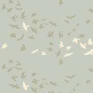 Roots of Nature | Aves Chatter Three | FINAL CUTS
