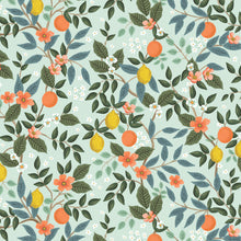 Load image into Gallery viewer, Bramble | Citrus Grove | Mint

