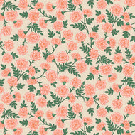 Bramble | Dianthus | Blush